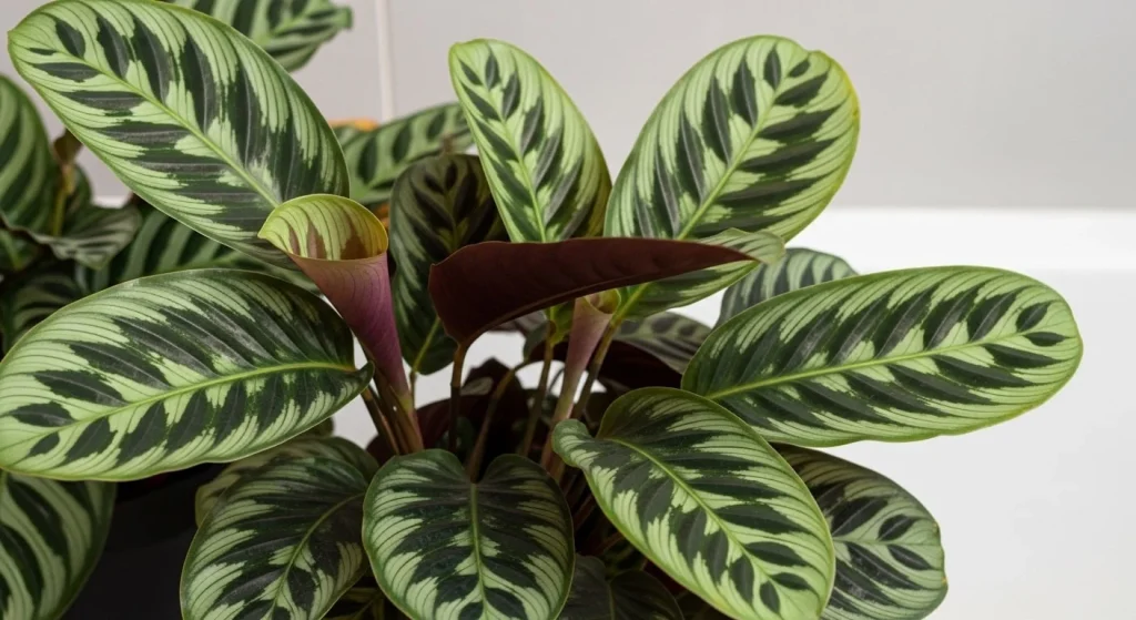 Bathroom Plants Ideas to Refresh Your Space 13 Bathroom Plants Ideas 7